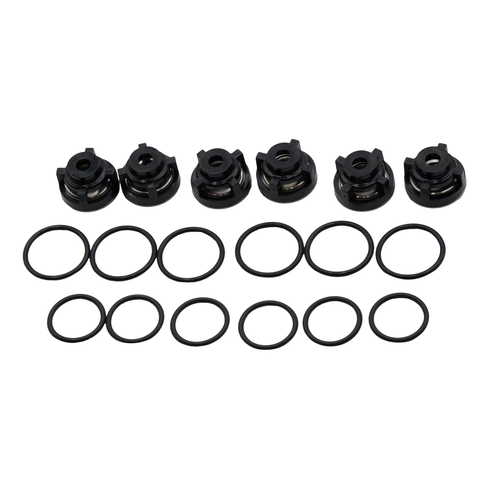 9116 CHECK VALVE KIT P200/P300 PUMPS