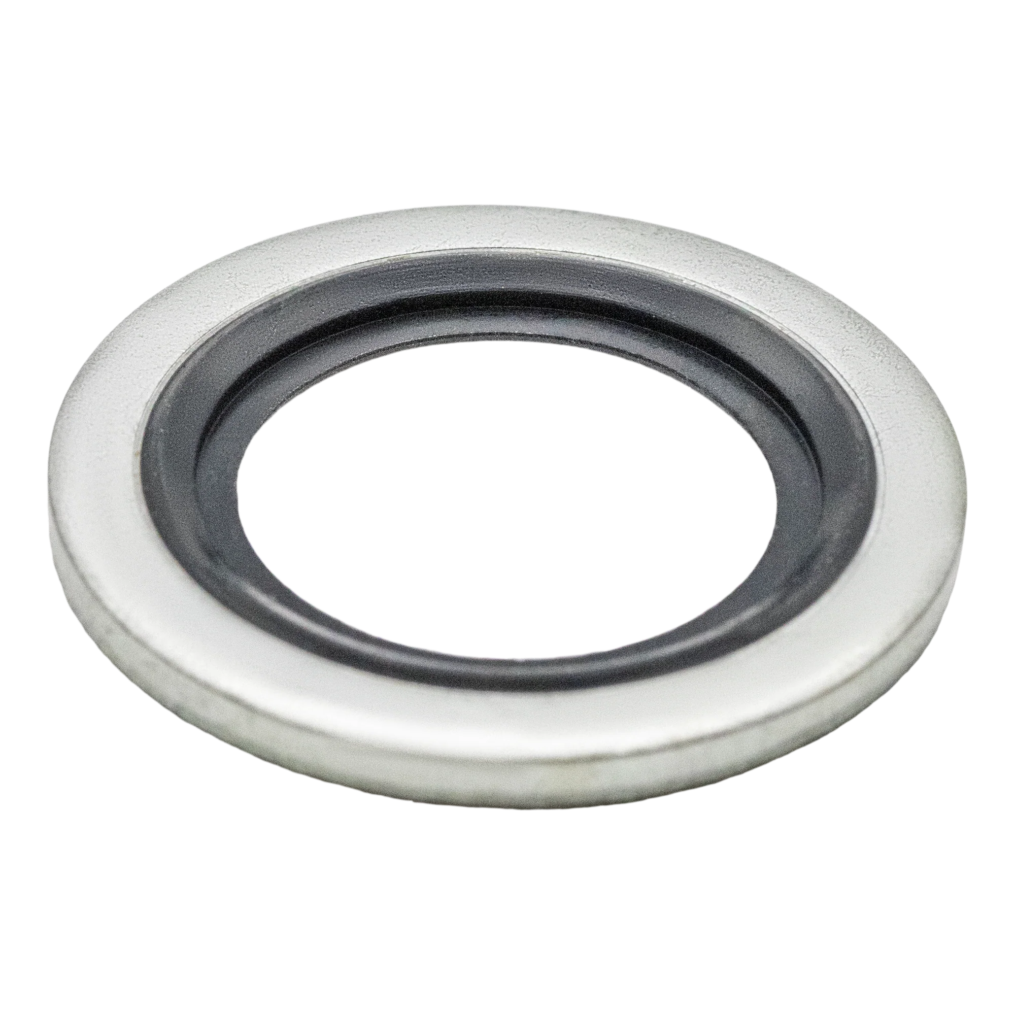 1560290 WASHER W/SEAL RING 20242/20480