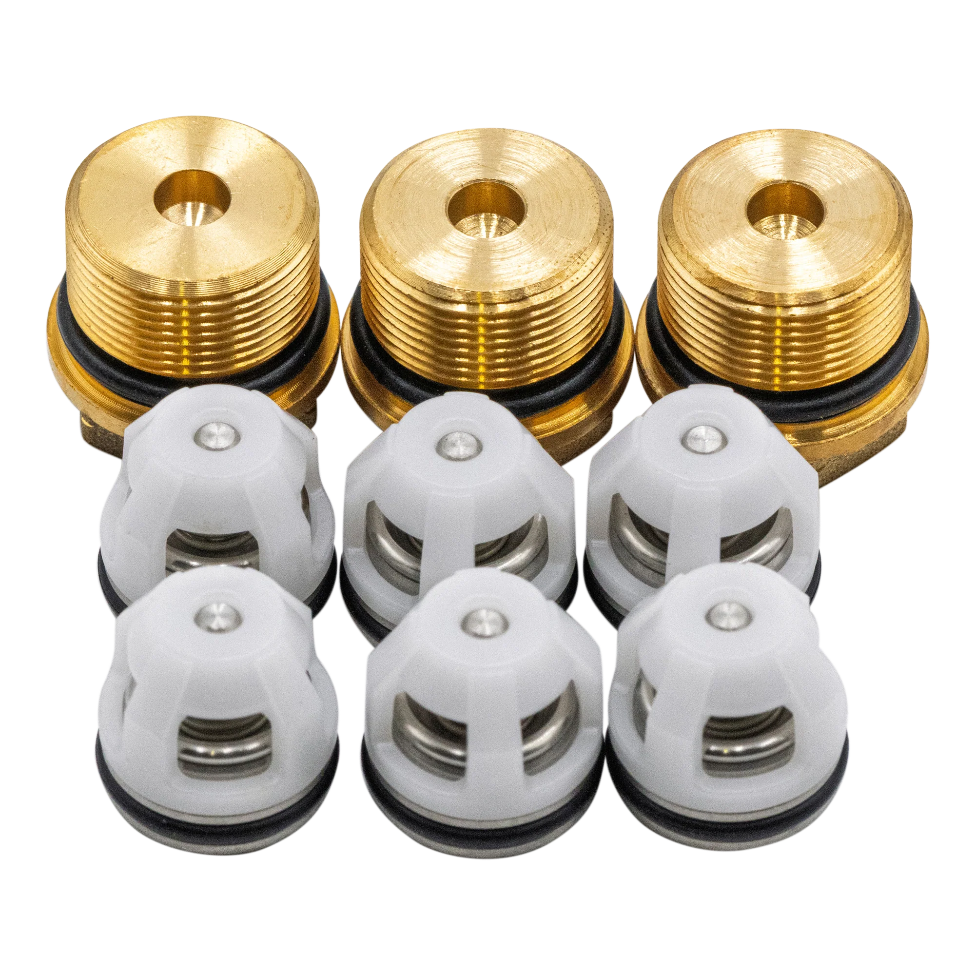 KIT 42762 Check Valves With Valve Caps