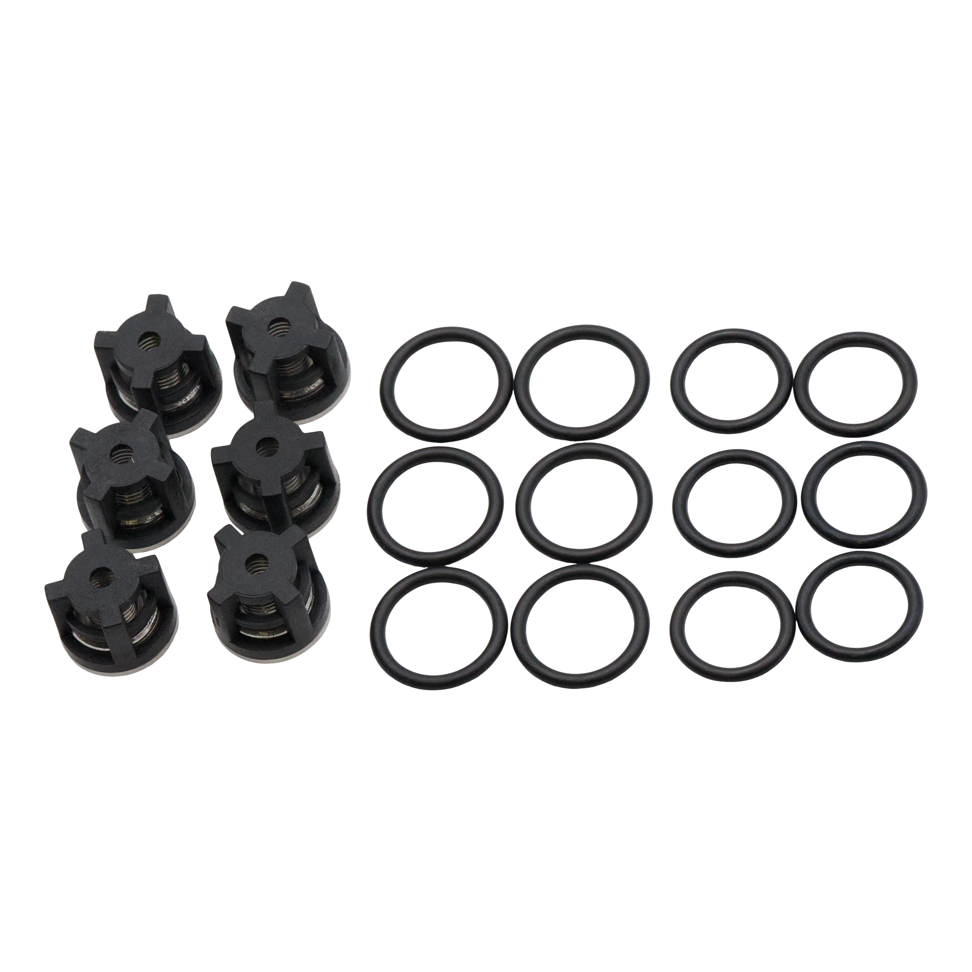 DOLLY KIT AR 1828 VALVES & O-RINGS